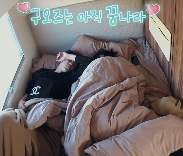 — 𝐕𝐚𝐧𝐭𝐞 𝐛𝐞𝐚𝐫 𐤀 tweet media