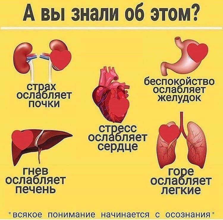 best_fact's tweet photo. https://t.co/DD21I3GSNW