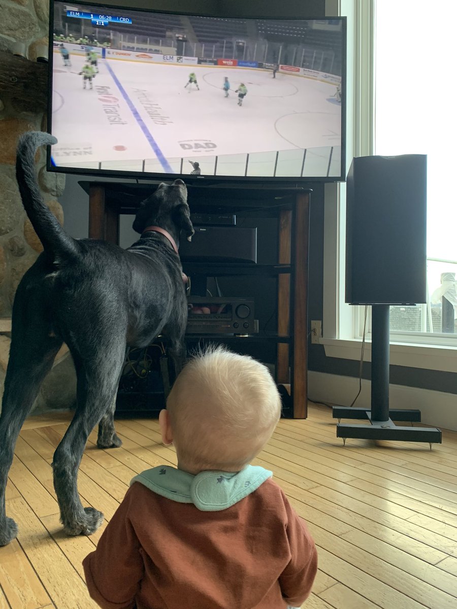 ShinkarukBSS's tweet photo. Go Uncle Carter!! 🏒🥅 #dunkinseats @ElmiraEnforcers https://t.co/vqeek5g4Xx