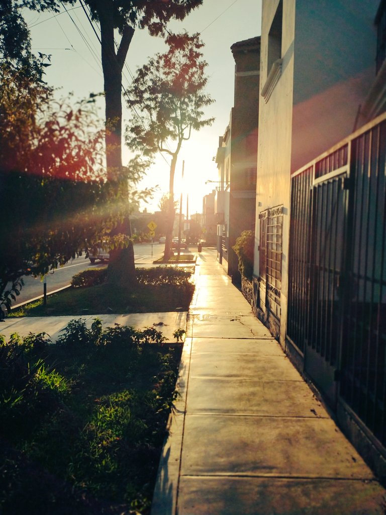 Víctor Adolfo tweet media