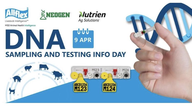 Livestock producers near Emerald, QLD. interested in lifting your genomic performance across your herd ? join us for a DNA collection and testing luncheon to hear all about Allflex’s fast, reliable and accurate TSU & how data improves productivity. RSVP Laura Tansell, 0437168651