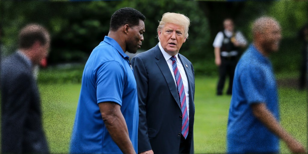 NEWSMAX's tweet image. Herschel for Senate? - Trump confident lauded as favorite for Georgia race ow.ly/n77350DIb2D