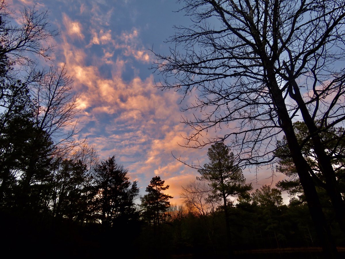 Around the homestead