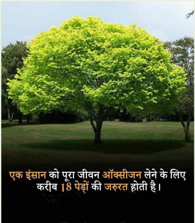 Let's plant trees.Together make your future better  #GreenEarth
Make our land green.Taking care of trees......  #letsplanttrees #nature