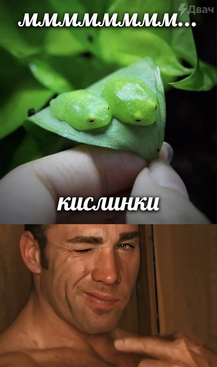 Eu9_Ar5XYAAbKqS?format=jpg&name=large