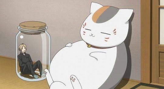MIZPAM_'s tweet photo. 猫といえば最近観てるアニメ夏目友人帳のニャンコ先生が好きすぎてグッズ買おうとしてます…散財しそうで怖い https://t.co/4UBODuApXA