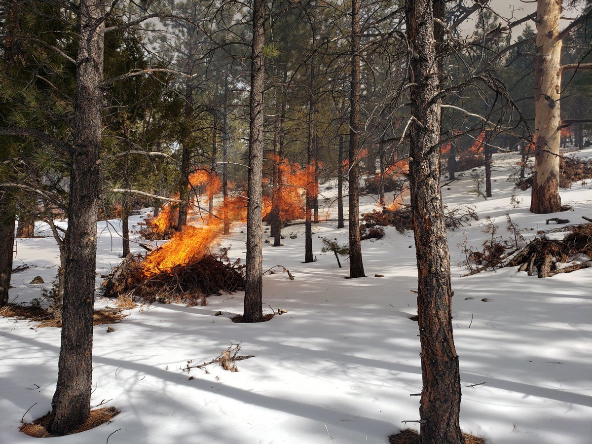 UtahWildfire's tweet photo. #usfsFNF Fremont River RD completed 10 acres of pile burning today on the #NorthSlopePileRx. The district plans to burn additional piles in Unit 1 tomorrow. #TeasdaleFront https://t.co/J21rupJzdQ