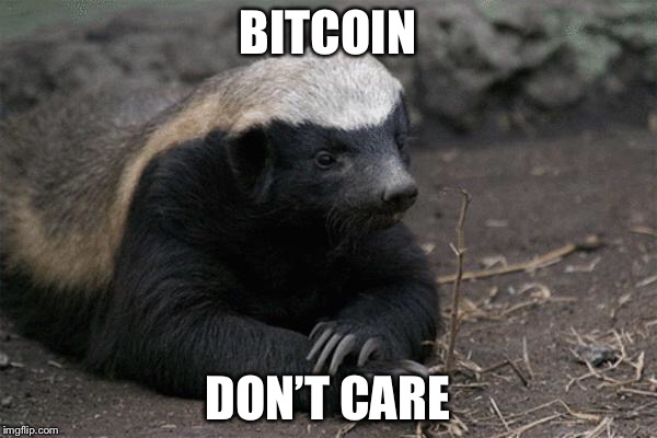 CountCryptula's tweet image. #Bitcoin @michael_saylor @pierre_rochard @cameron @tyler @elonmusk @aantonop