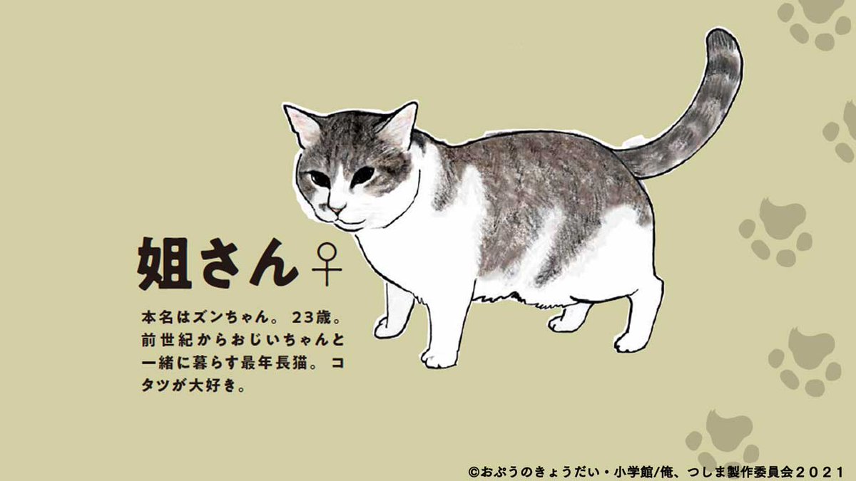 俺 つしま アニメ公式 21年夏放送 俺 つしま 原作キャラクター情報 姐さん おじいちゃんの家にずっといる 猫 たちの中でも いちばん年長者でエラい人 猫 アニメは21年夏放送開始 アニメ公式hp T Co 2udmssz4li 俺つしま