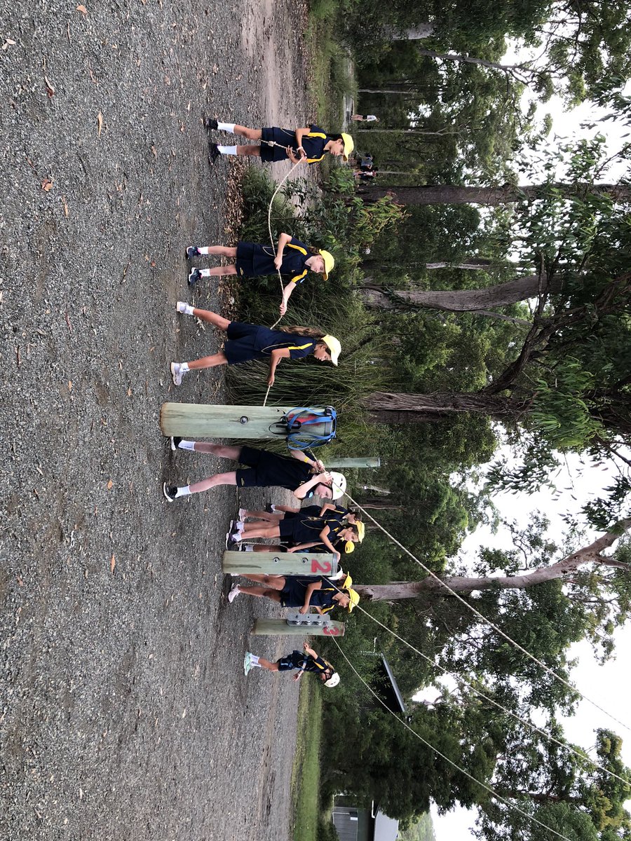 LoretoPrimary tweet media