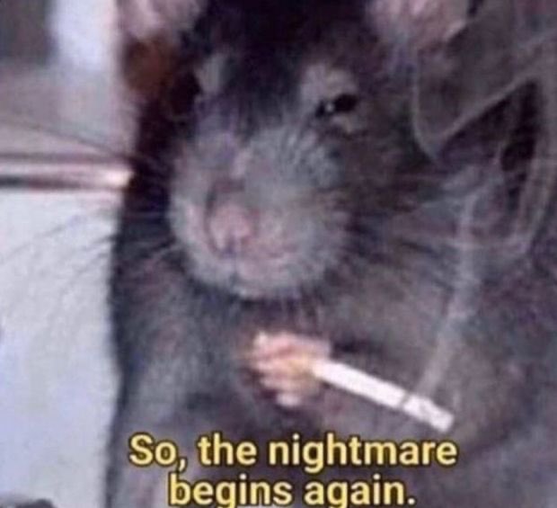 1 pic. mood board for this evening https://t.co/5SoJasvkxR