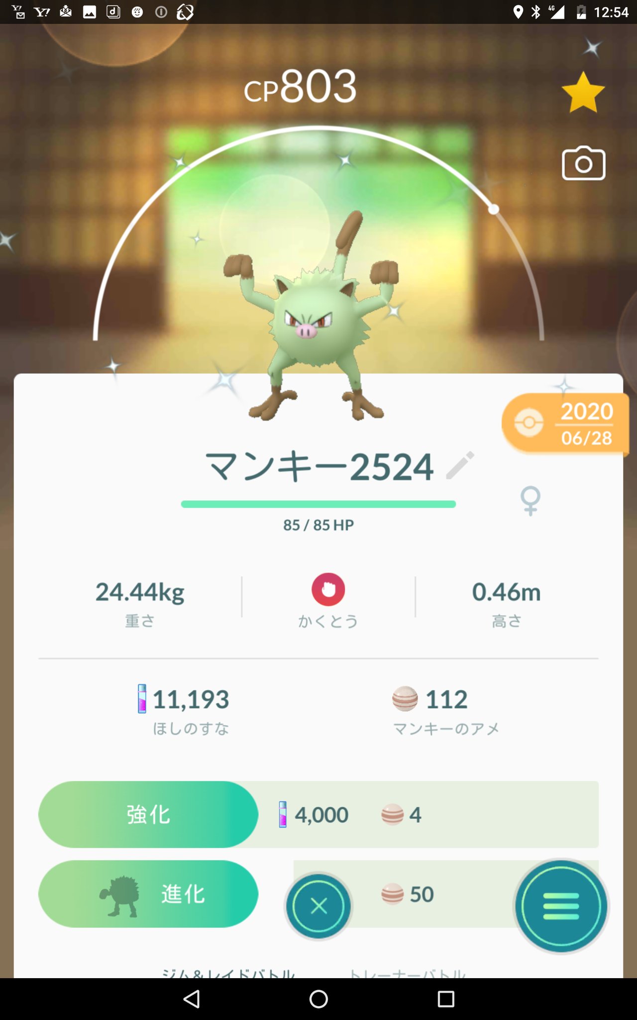 かれーん ムーランド大好き En Twitter 進化タスクのために マンキーちゃん色違いを進化 オコリザルちゃんは何で怒ってるんだろ ポケモンgo マンキー色違い オコリザル色違い T Co 4kz6jf5g9j Twitter