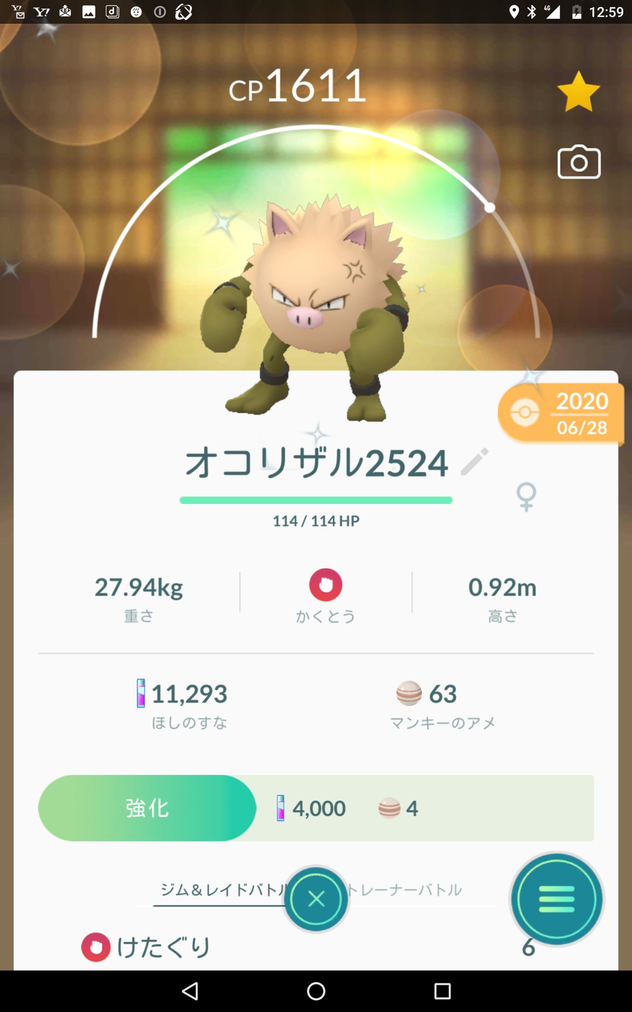 オコリザル色違い Twitter Search Twitter