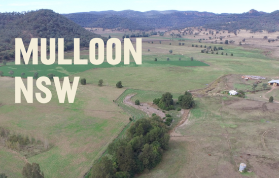 MulloonInst's tweet photo. Come and learn Natural Sequence Farming on 12-15 April 2021 at our living laboratory on Mulloon Creek Natural Farms, with the crew from Tarwyn Park Training.

https://t.co/IBEUdC06nG

#regenag #regenerativeag #regenfarming #regen #regenerativeagriculture https://t.co/2Hu8kepGEH