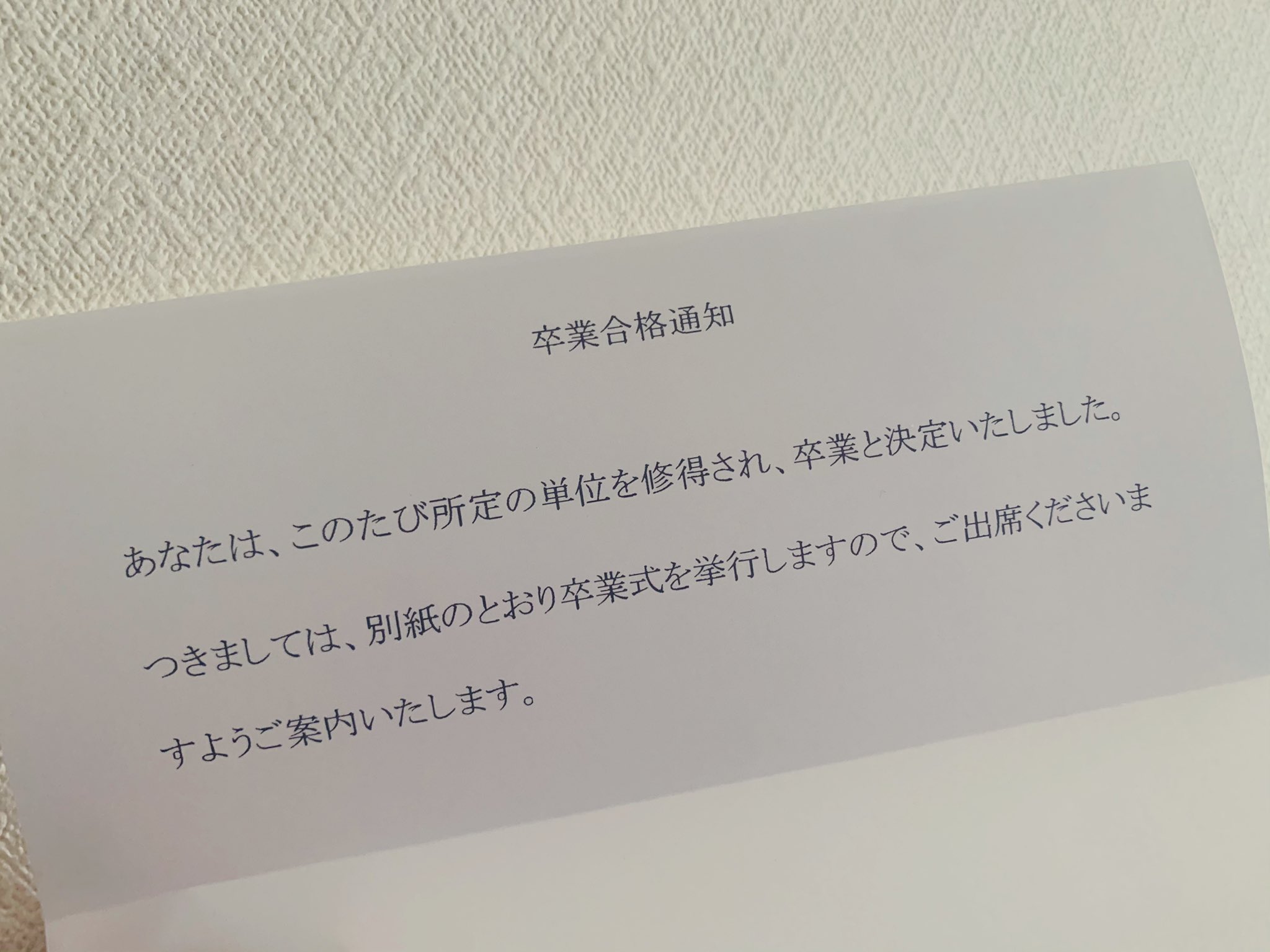 きなここ 心に寄り添う Kokoutu384 Twitter