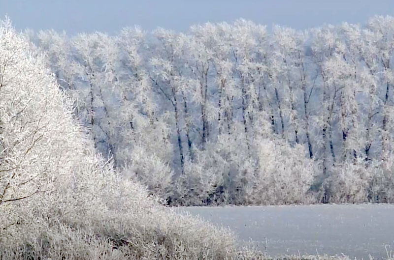 погода октябрьский башкортостан. башкирия в сентябре. метеорологический прогноз. погода республике башкирии. погода республике башкирии.