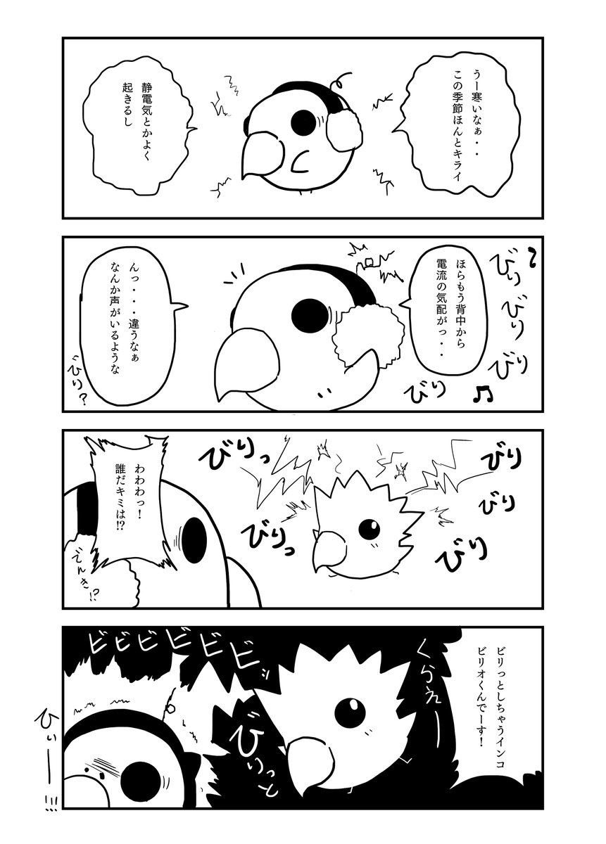 『とあるインコの日々』 6話 1/2

ビリオくん登場

#インコ #4コマ漫画 #漫画が読めるハッシュタグ 
#創作漫画 