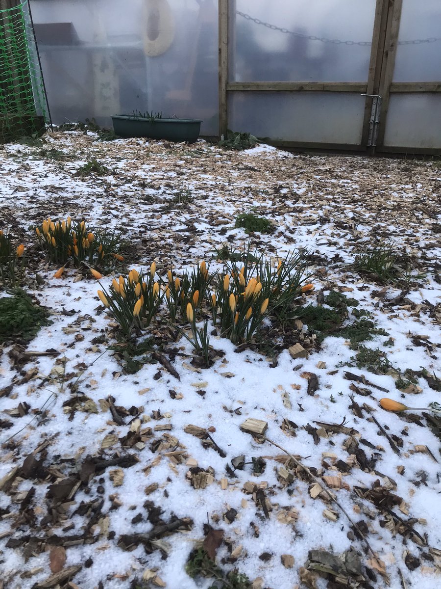 Vine Road Cafe tweet media