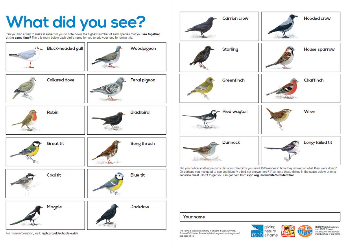 sirius_north's tweet photo. Please send us photos of all the different birds you see #SANPledgeChallenge @Natures_Voice #biggardenbirdwatch2021
https://t.co/oZ7FvsoTwR https://t.co/LI0tuwbyRr