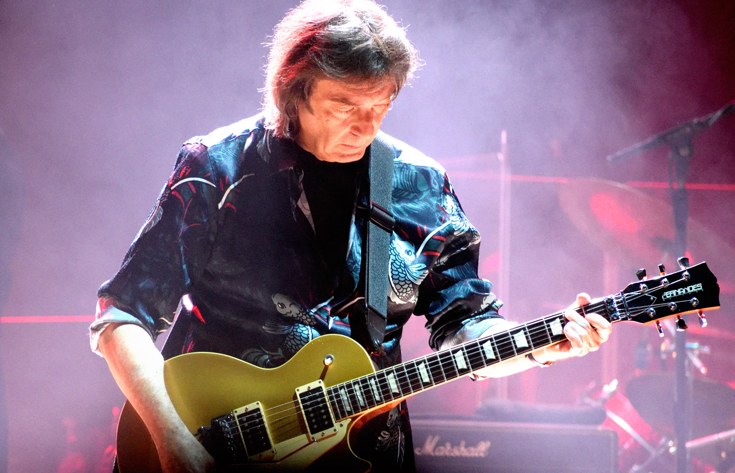   Happy Birthday Steve Hackett !     