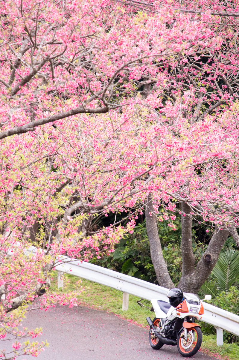 卒業の季節 卒業の季節