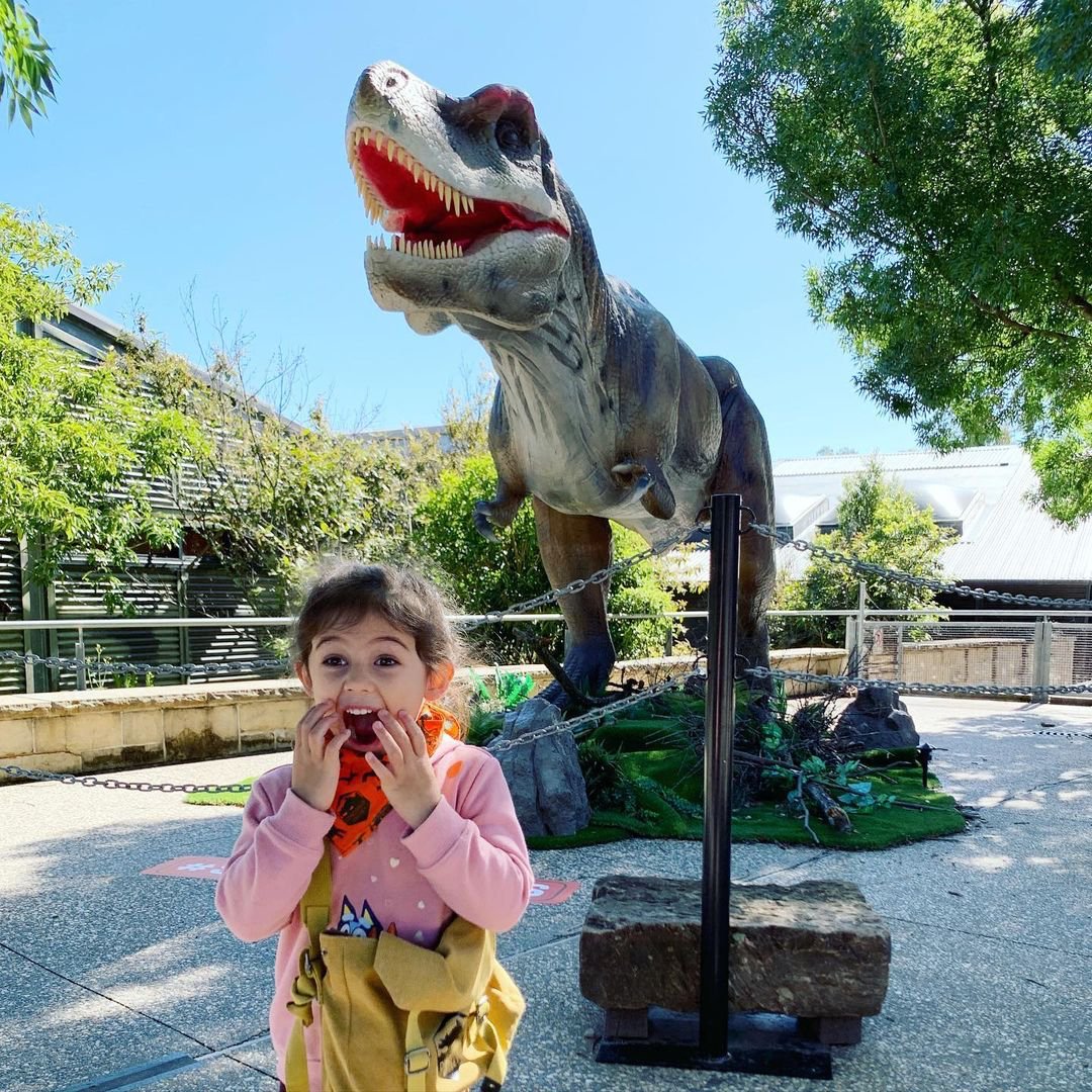 RAWWWWR - the last week of Dinosaur Valley has arrived! Dinosaur Valley must end February 28. Don't miss out! 👉🏼 dinosaurvalley.com.au 📍 Dinosaur Valley, Scenic World Blue Mountains 📸 IG hellosmaggles #ScenicDinos #ScenicWorld_Aus #VisitBlueMountains #LoveNSW