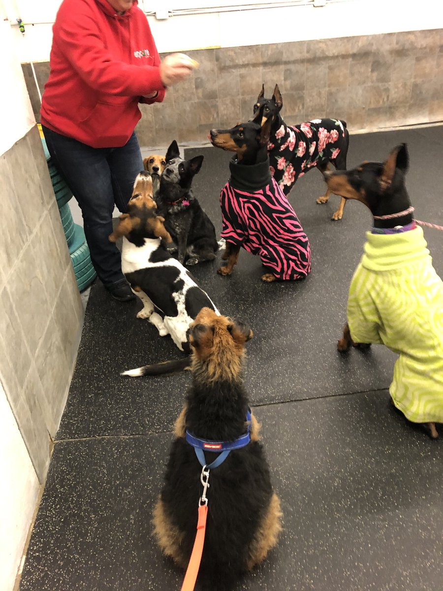 daigneault1212's tweet image. I went and seen all my best frens tonight. We shared a giant box of chicken nuggets and some tears. I’m going to miss my team the most.