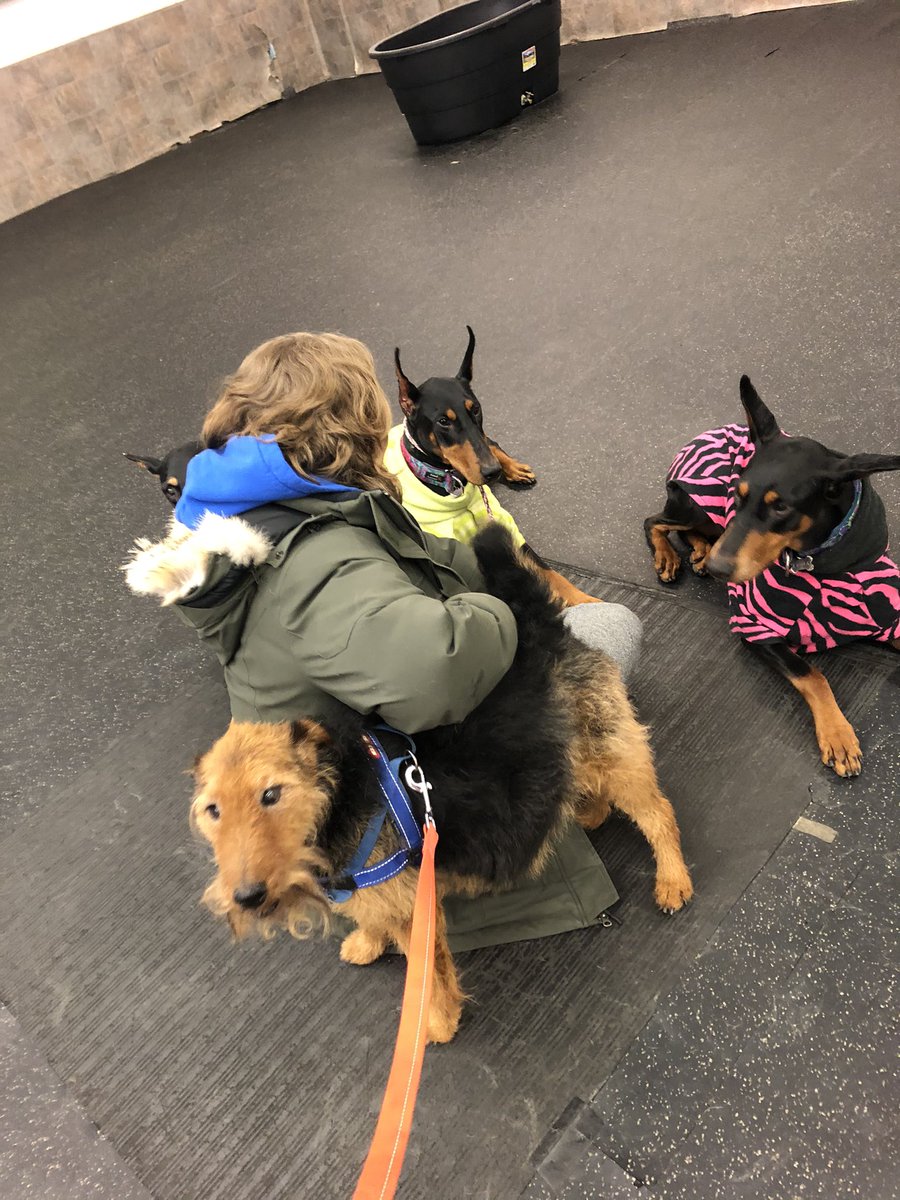 daigneault1212's tweet image. I went and seen all my best frens tonight. We shared a giant box of chicken nuggets and some tears. I’m going to miss my team the most.