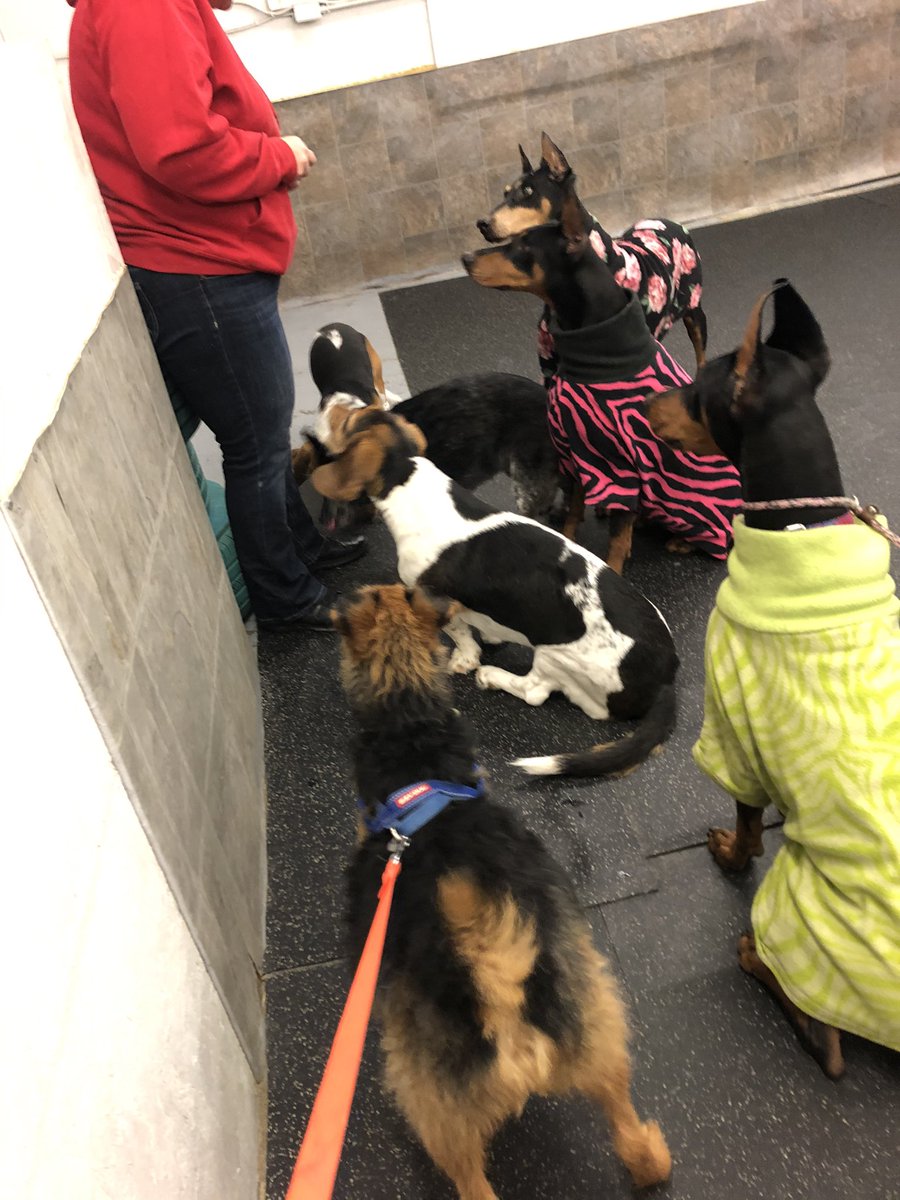 daigneault1212's tweet image. I went and seen all my best frens tonight. We shared a giant box of chicken nuggets and some tears. I’m going to miss my team the most.