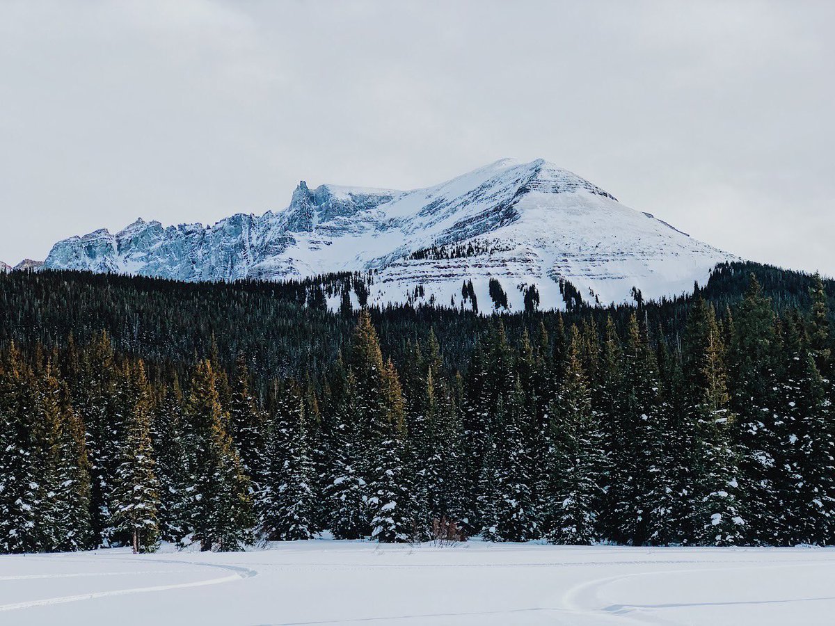 The Juggler tweet media