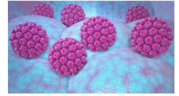 El VPH no sólo es el causante del cáncer cérvico uterino, sino que es también causante,en un porcentaje cada vez mayor, de cáncer anal, cáncer de pene y cáncer de la cavidad oral, entre otros.
Chécate!