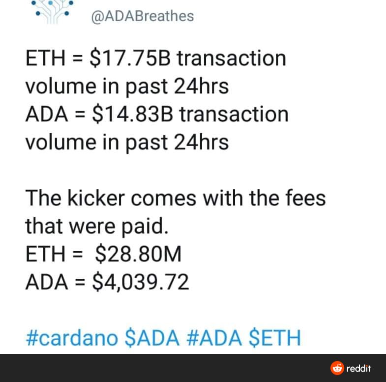 Charles Hoskinson tweet media