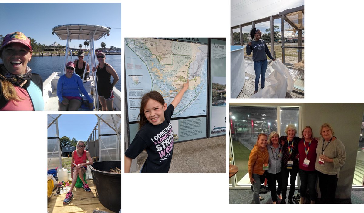 dotdotdavid's tweet image. Happy #WomenInScienceDay2021. From the mentors to the future generations. The ladies GOT this!