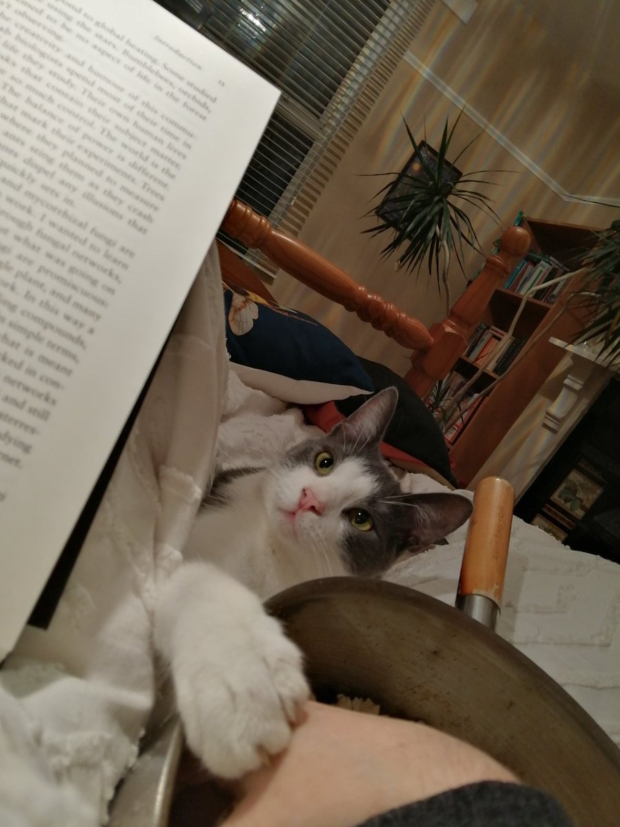 Sarah Amsler tweet media