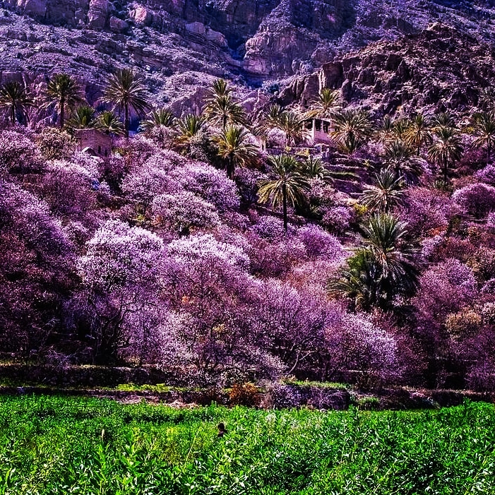 🌹
أكثر ما يفسد بهجتنا أننا لا نجهز أنفسنا لعدة سيناريوهات ، نعتقد أن الحياة لا تتسع إلا لإثنين : أبيض وأسود ؛ بينما الحياة تزخر بالألوان ..