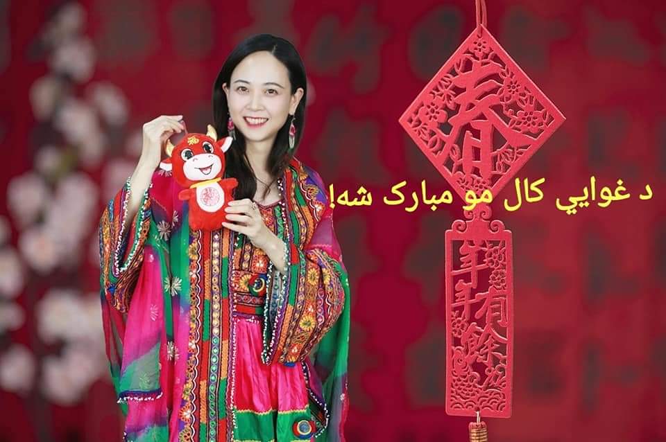 afghanchina's tweet photo. درنو دوستانو، د غوايي کال مو مبارک شه!牛年大吉
نن د چين پسرلنی جشن دی! زه په فېسبوکپاڼې له تاسو سره خپله خوشحالي شريکوم. تاسو ته به خپل څو عکسونه ډالۍ کړم، هيله ده، چې زما نیکې هيلې ومنئ. https://t.co/67nuBKZDw2