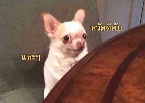 matthevill's tweet photo. ส่วนผมขอแจกความรักให้ทุกคนคับ https://t.co/sDFt6z4J1T