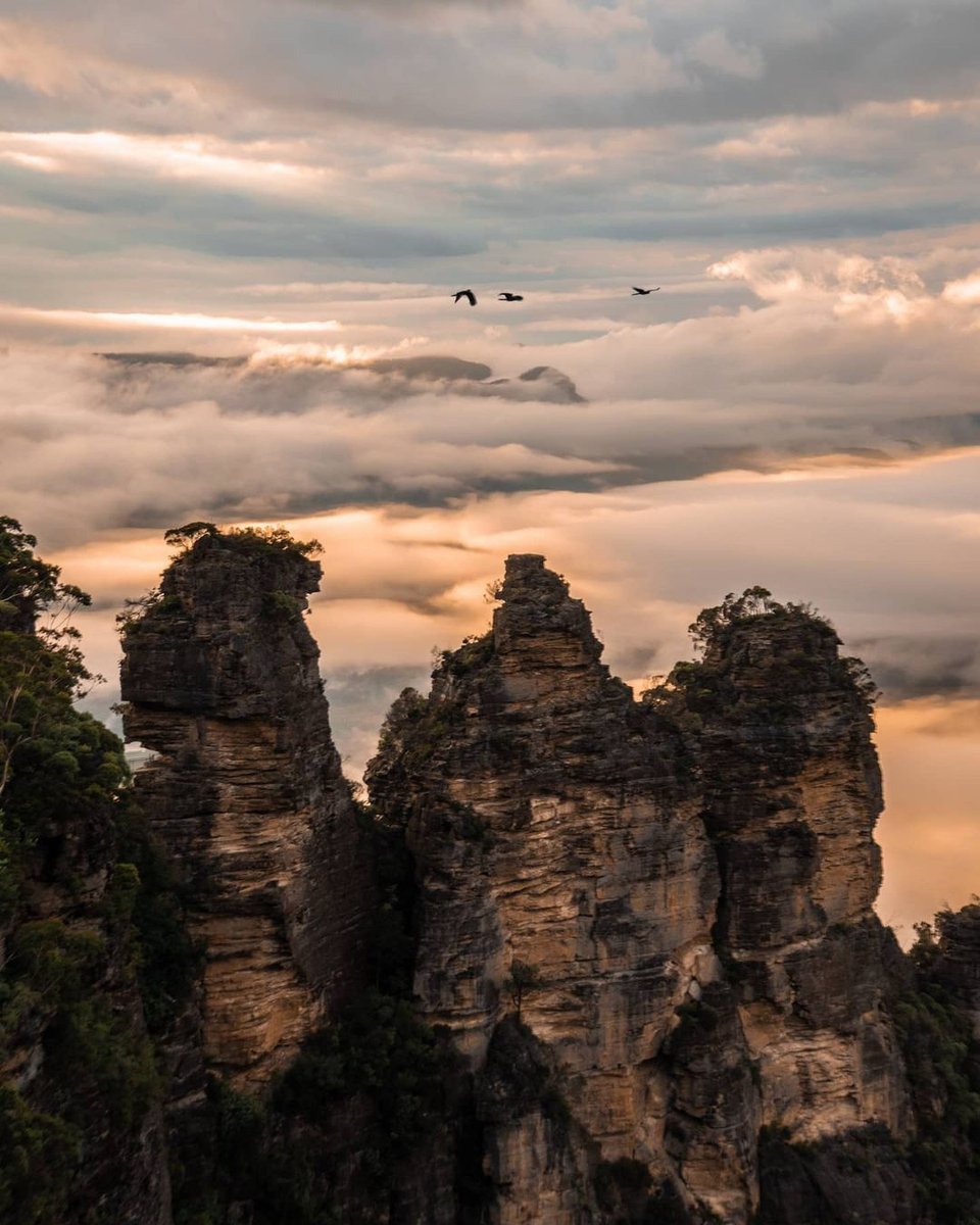Good things come in threes: ⛰ Three Sisters 💛 Three Black Cockatoos ☀️ Three months of Summer Scenic World's opening days are limited to Friday, Saturday, Sunday and Monday. Head to scenicworld.com.au for more info. 📸IG molemedia #ScenicWorld_Aus #VisitBlueMountains