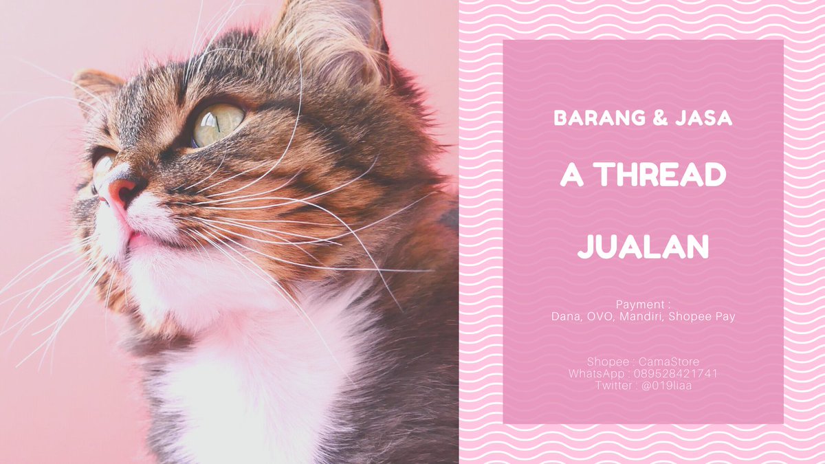 lia 📍 app premium & joki & preloved tweet media