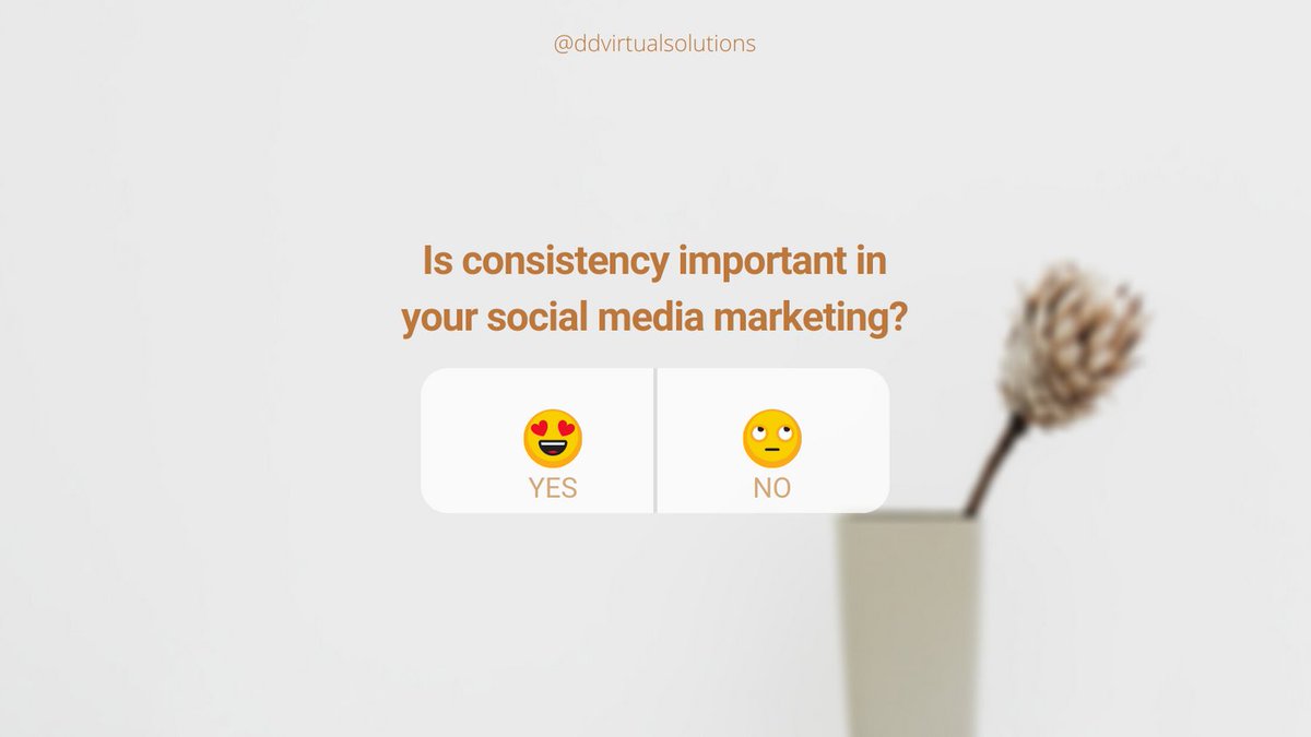 DDVirtual's tweet image. Do you find it hard to keep consistency sometimes on your social media for your business? How important it is to be consistent?

Comment down below and drop your emojis😍✨.

#consistency #consistencyisthekey #socialmediamanagement #business #socialmediabiz #virtualassistant