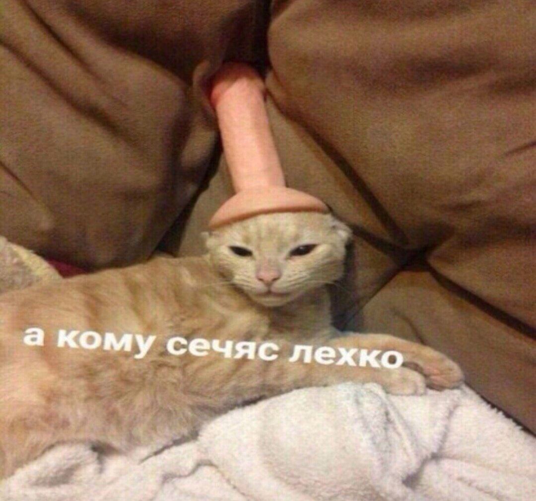 фу пашлятена. пикабу фу пошлятина. фу пашлятена. смешное видео и снится нам. фу пошлятина мем с крысой.
