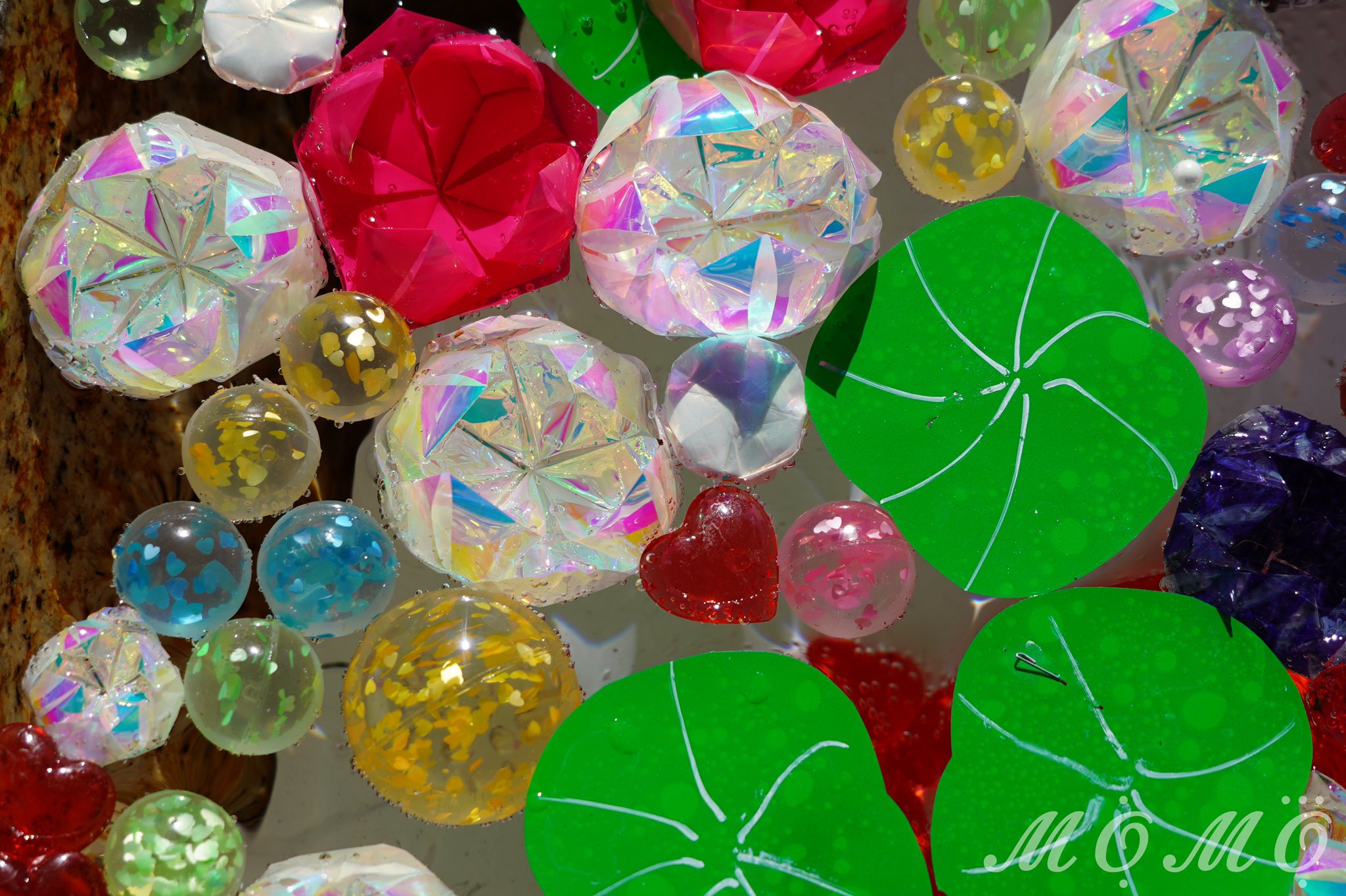 𝓜𝓞 𝓜𝓞 長野縣護國神社 手水舎 21年2月9日 テーマ ロータスバレンタイン キラキラとっても綺麗 長野県 信州 写真が好きな人と繋がりたい 松本 松本市 長野縣護國神社 長野縣護国神社 手水舎 手水舎に浮かぶ 花 花手水 花手水舎