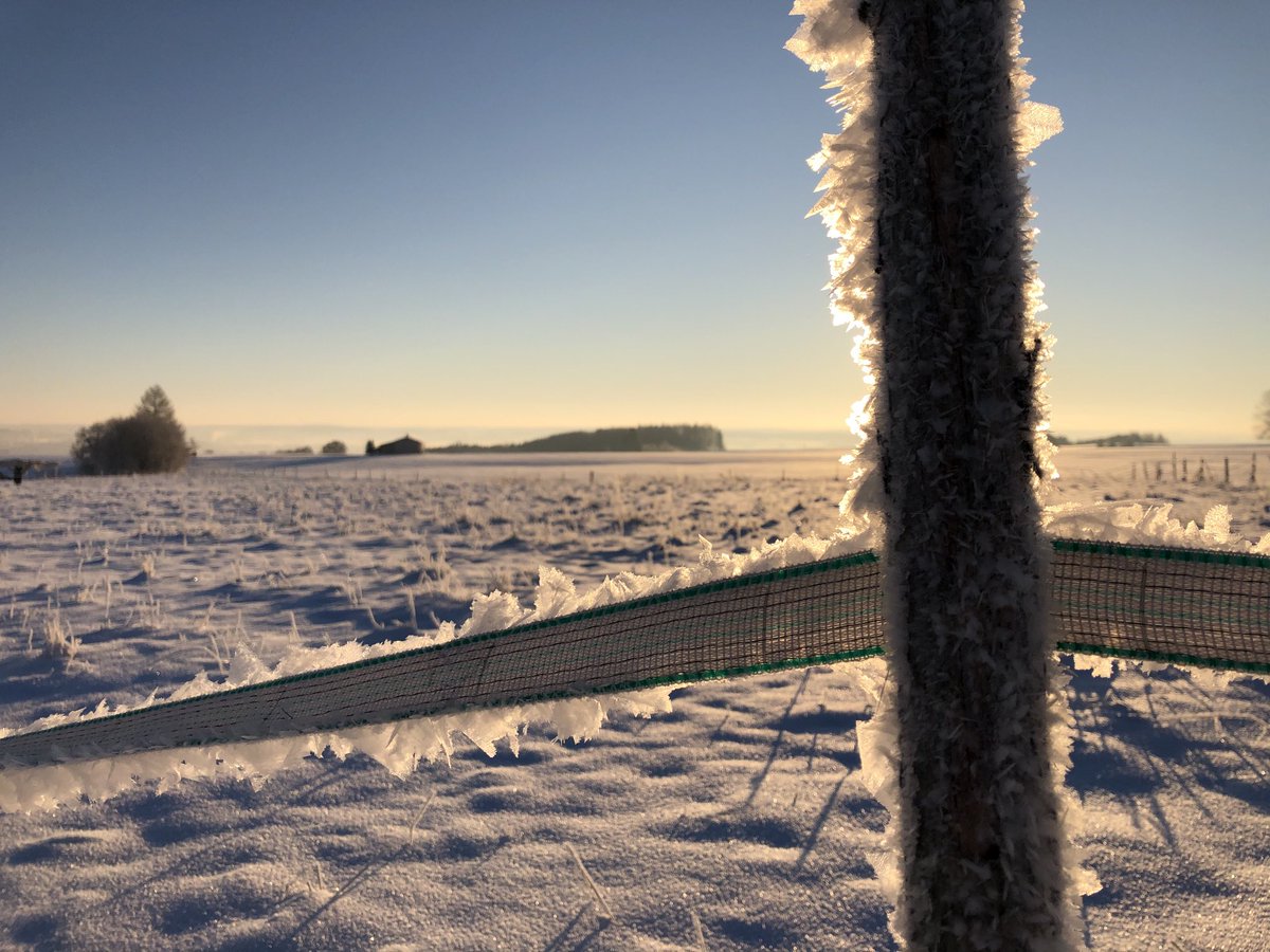 Wintermorgengruß aus #Großkemnat eisig kalt (-15 Grad) und wunderschön...