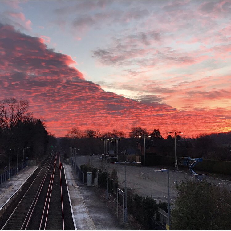 Ben Wright tweet media