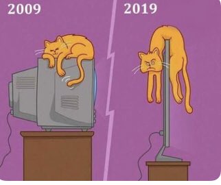 CBI PUNISH SSR KILLERSSize matters 