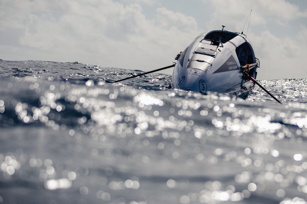 Good Things Guy tweet media