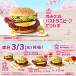 春が来たら．．．マクドナルドから期間限定のてりたまが販売‼