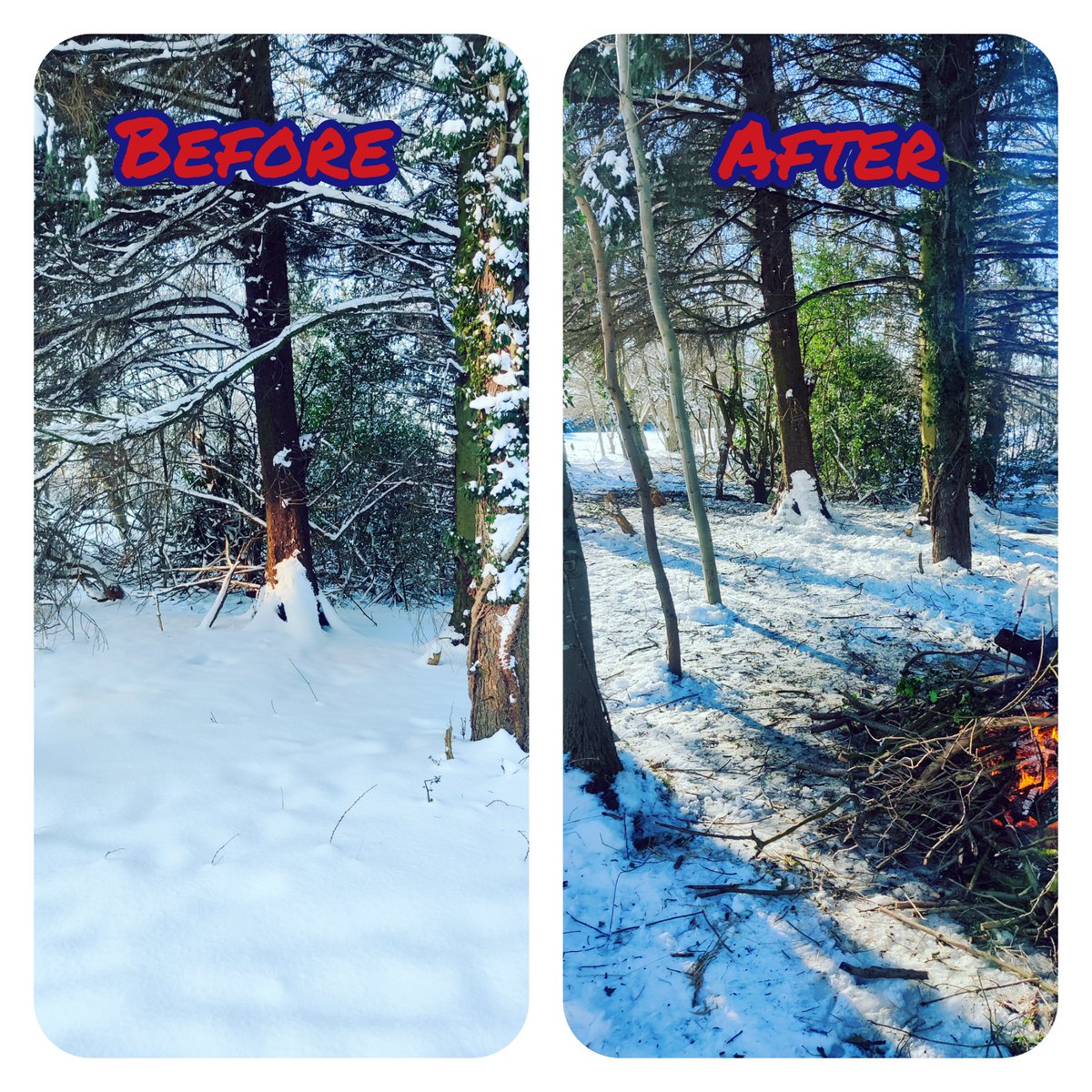 Fri 12th Feb
Temperatures set to rise on Sunday which will start the thaw process, in the meantime....
Tree management continues as we aim to clear out dead wood and low branches. 
Increase light and air  ✅
Improve aesthetics ✅
Improve playability ✅
Improve woodland safety✅