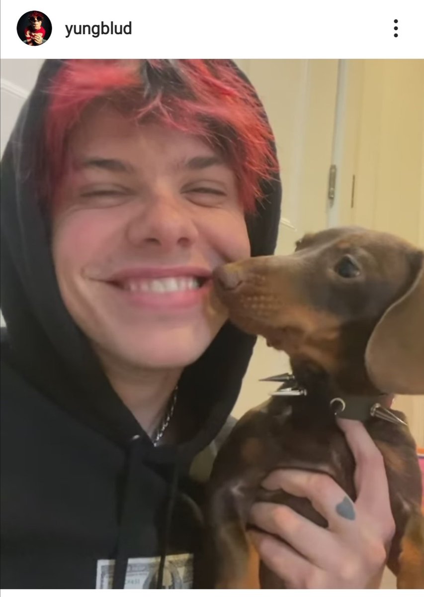mrsmonstur's tweet photo. This man and his art have dangerously good vibes #love #respect #music #yungblud https://t.co/NNzrM4gDc8