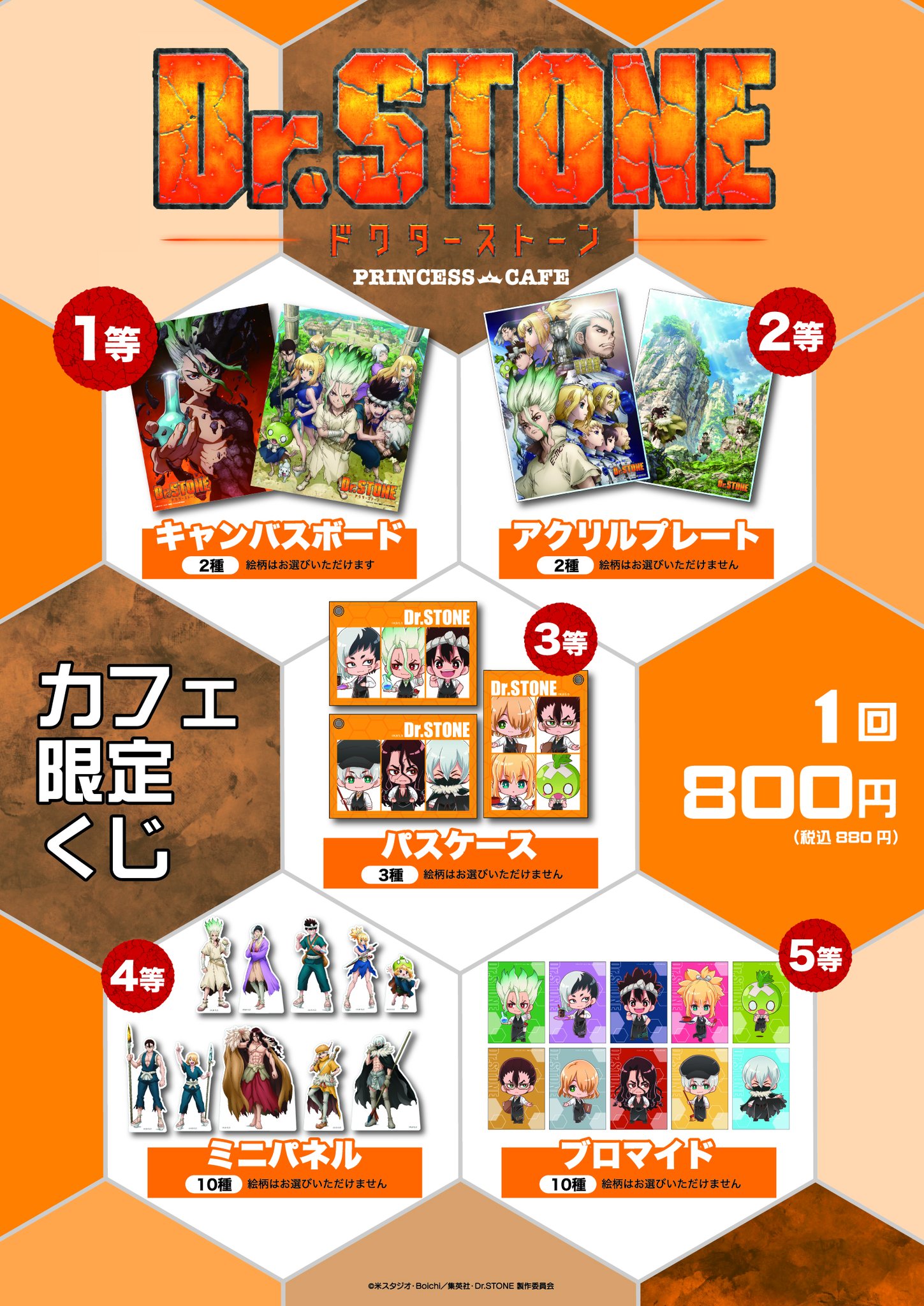 希少 Dr.stone プリンセスカフェ 店舗限定くじ キャンバスボード
